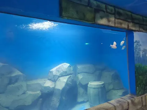 内蒙古海洋馆项目 项目照片 4