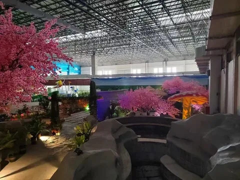山东淄博885水世界酒店及温泉项目 项目照片 6